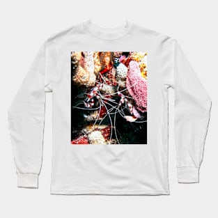 Banded Cleaner Shrimp on the Coral Reef Long Sleeve T-Shirt